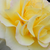 Sárga - Teahibrid rózsa - Sunny Sky ®